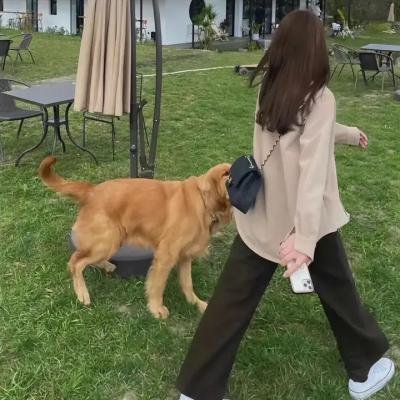 透明人
